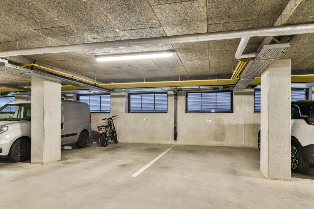 Foto 23 van Populier 36