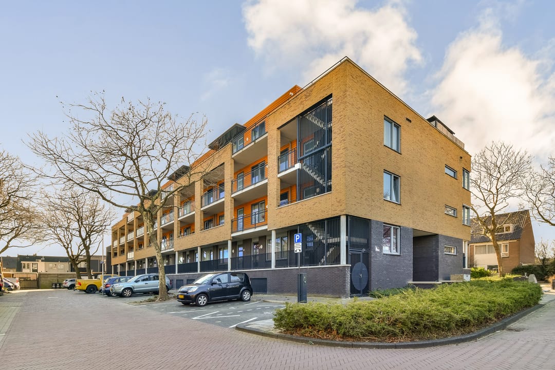 Foto 26 van Populier 36