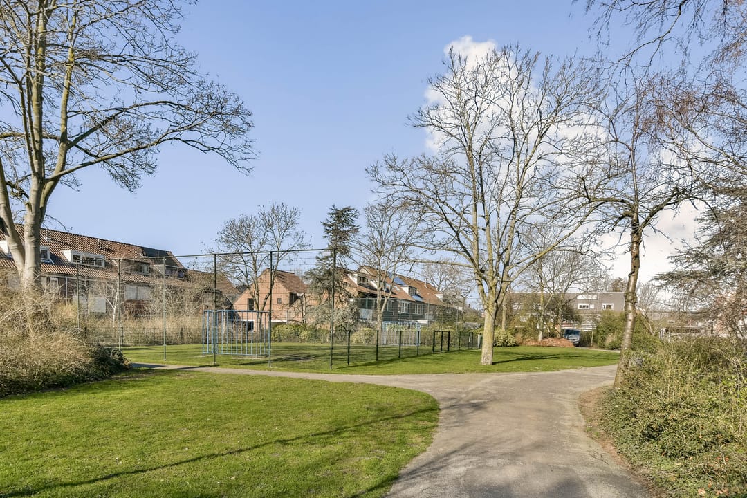 Foto 28 van Populier 36