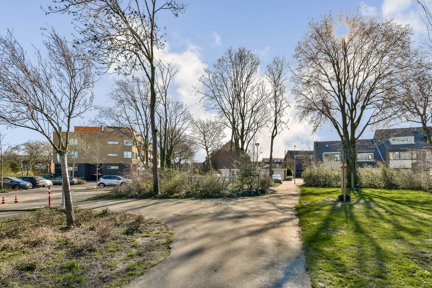 Foto 29 van Populier 36