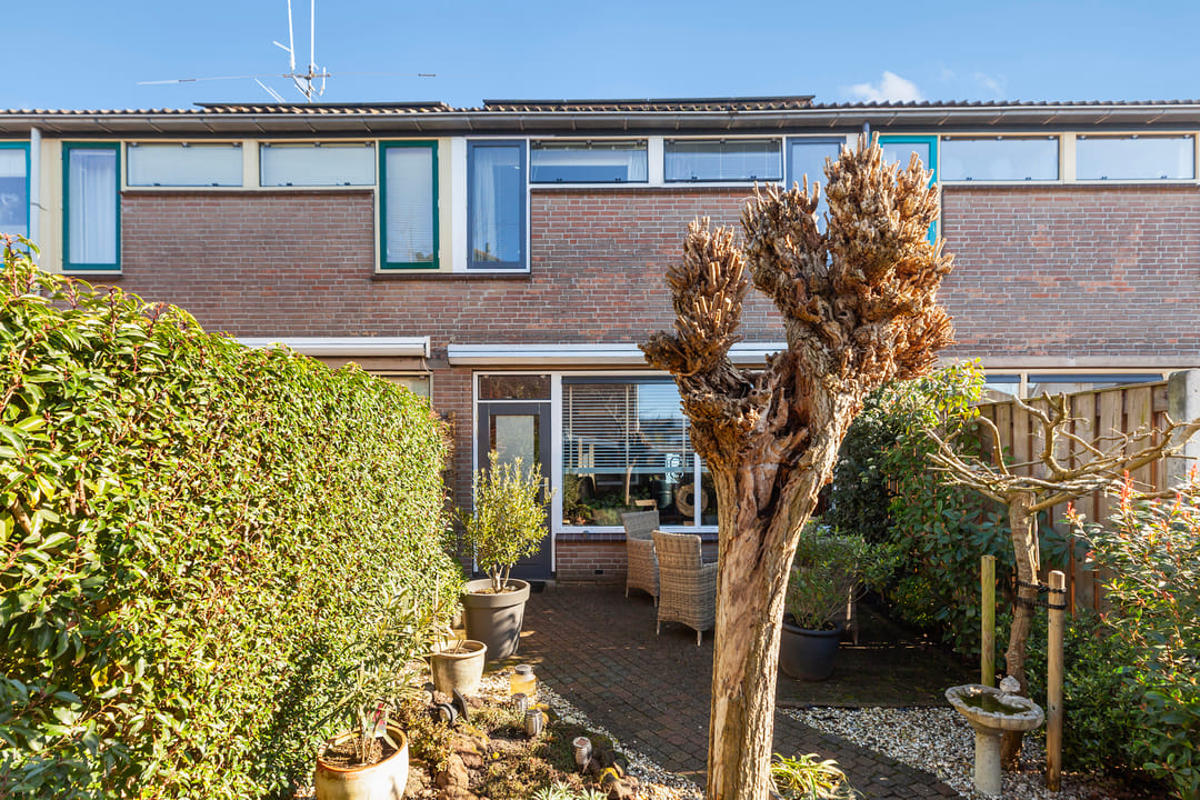 Foto 31 van Florenweer 5