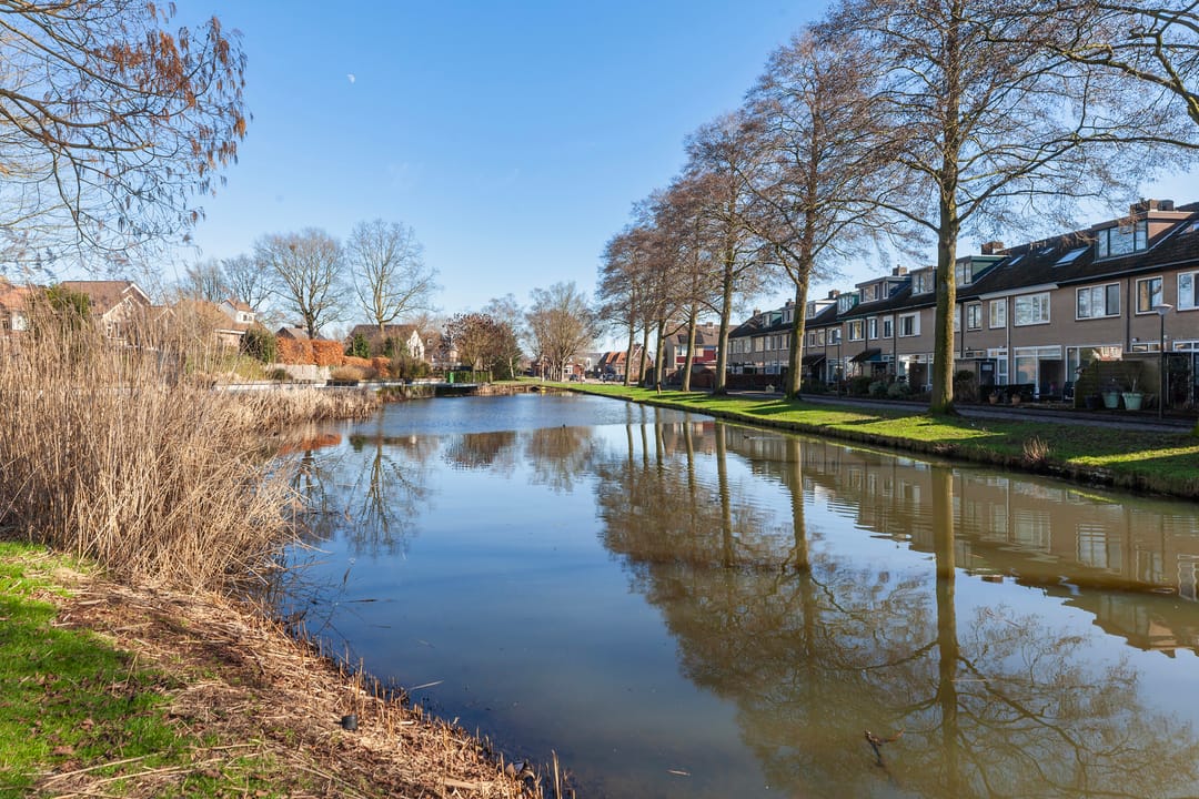 Foto 32 van Florenweer 5