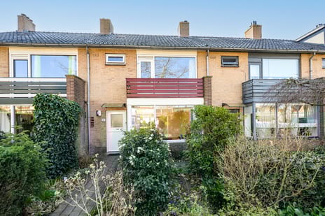 undefined main image