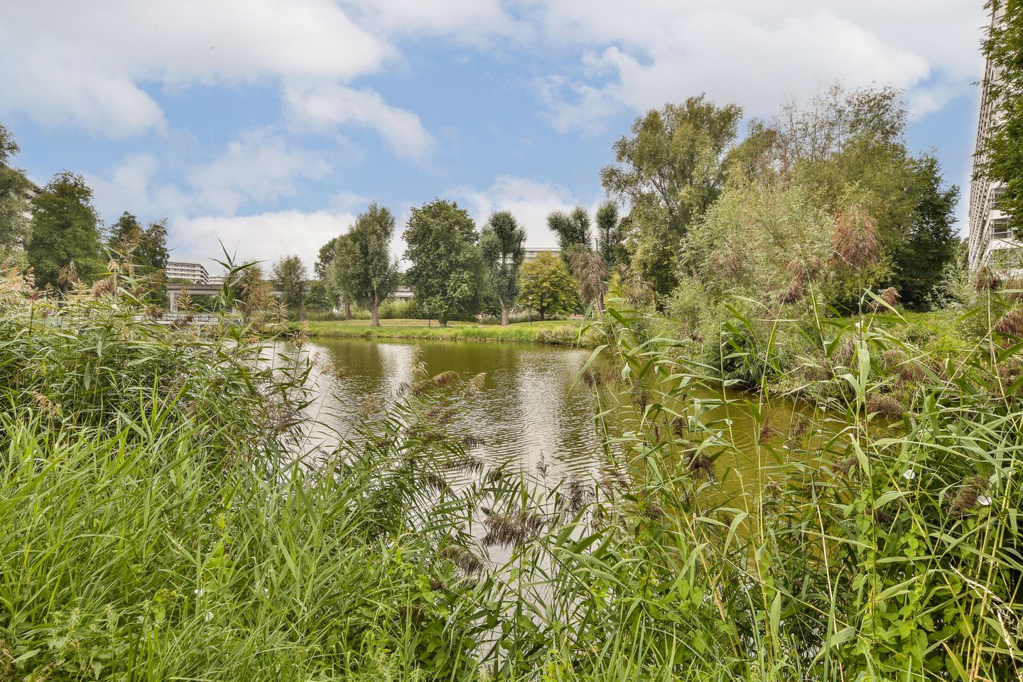 Photo 25 of Grubbehoeve 718