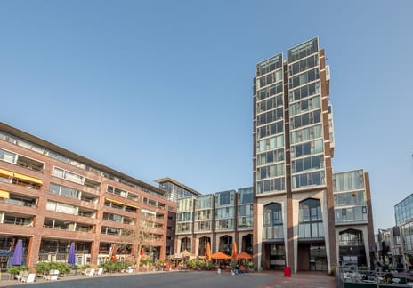 undefined main image