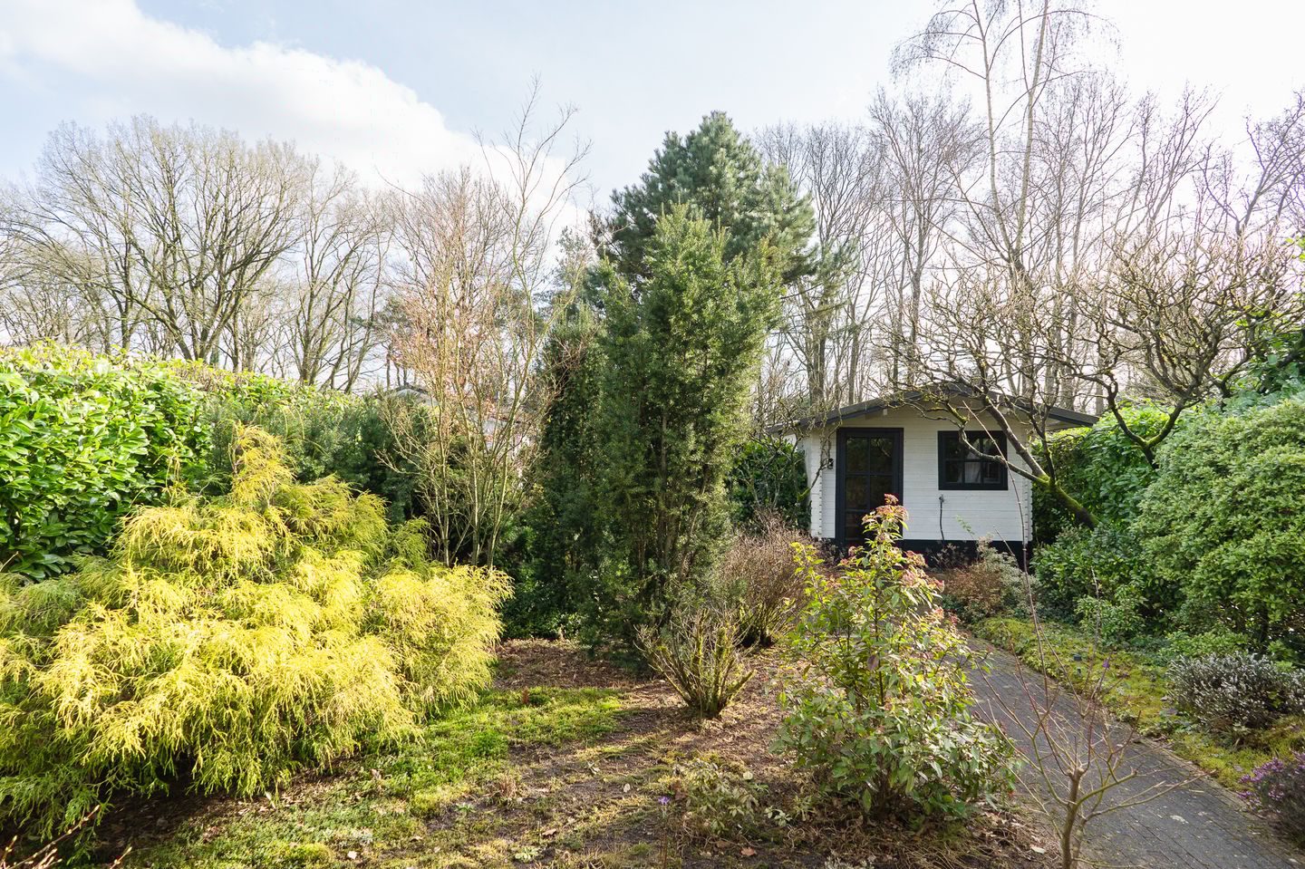 Foto 5 van Lange Zuiderweg 142-950