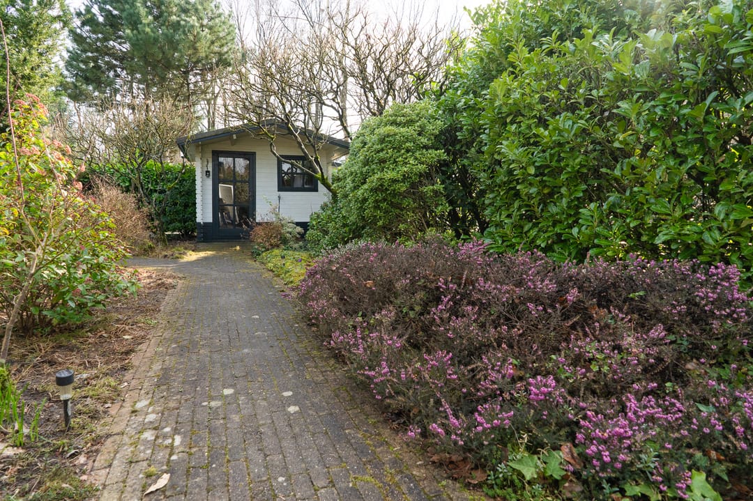 Foto 8 van Lange Zuiderweg 142-950