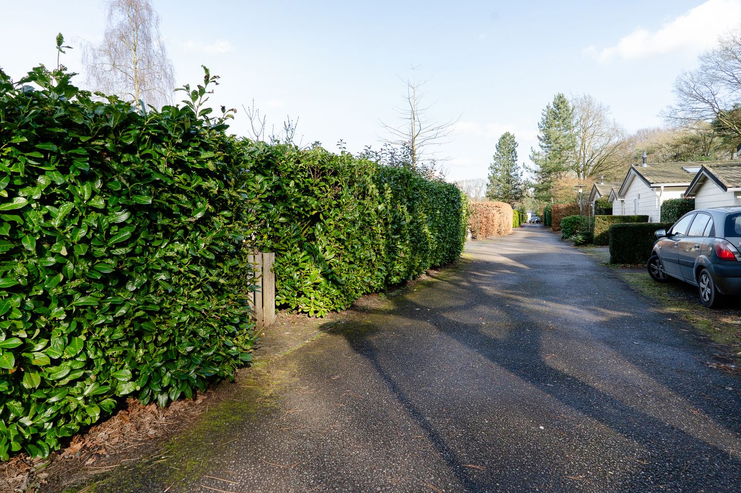 Foto 25 van Lange Zuiderweg 142-950