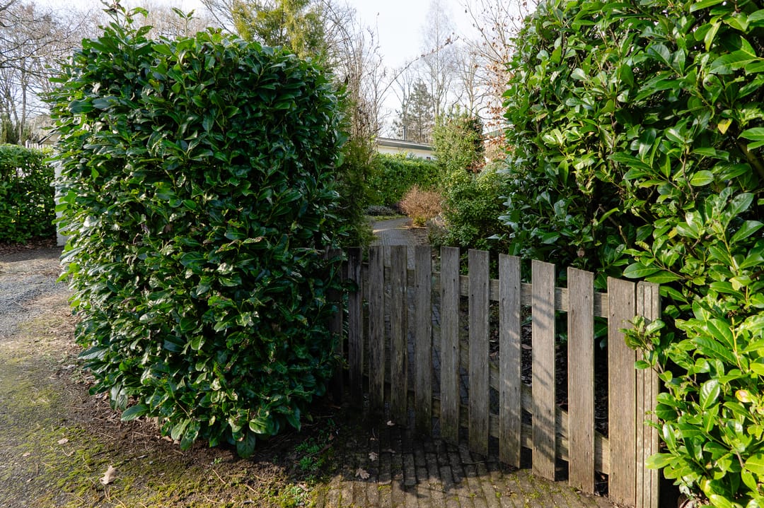 Foto 26 van Lange Zuiderweg 142-950