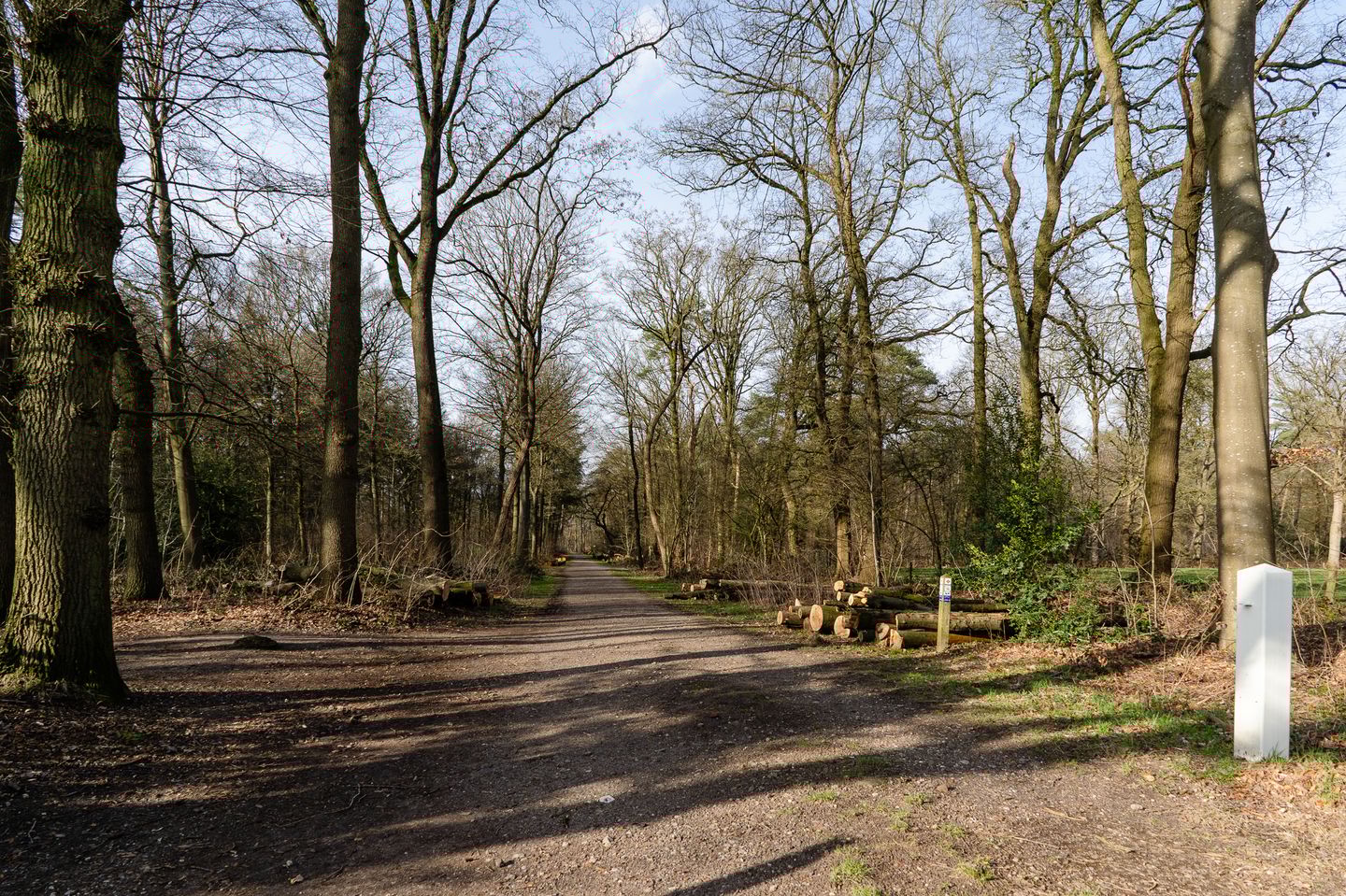 Foto 40 van Lange Zuiderweg 142-950