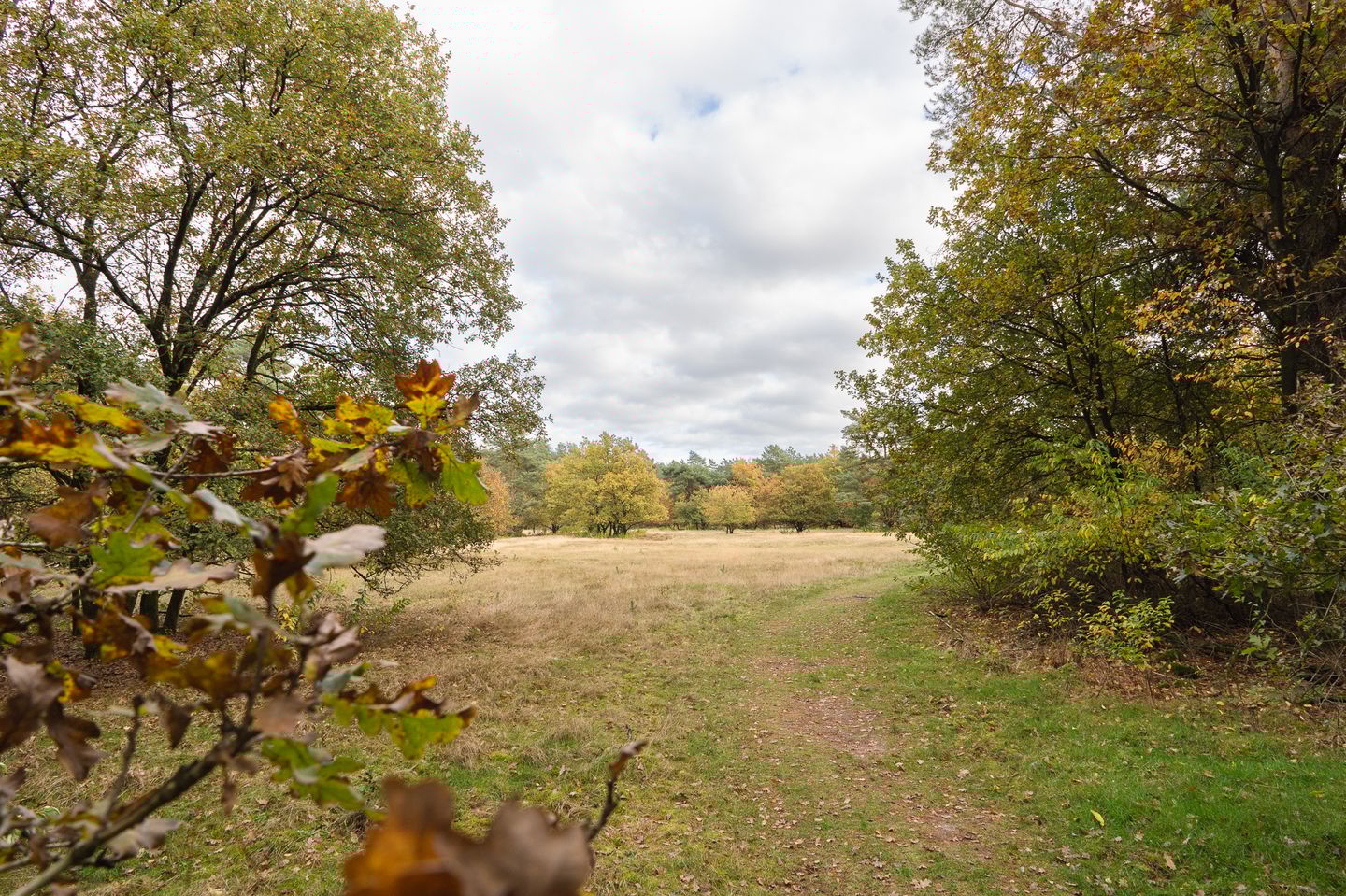 Foto 44 van Lange Zuiderweg 142-950