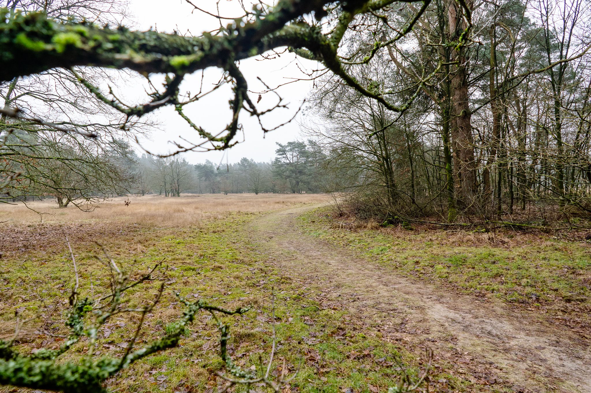 Foto 45 van Lange Zuiderweg 142-950