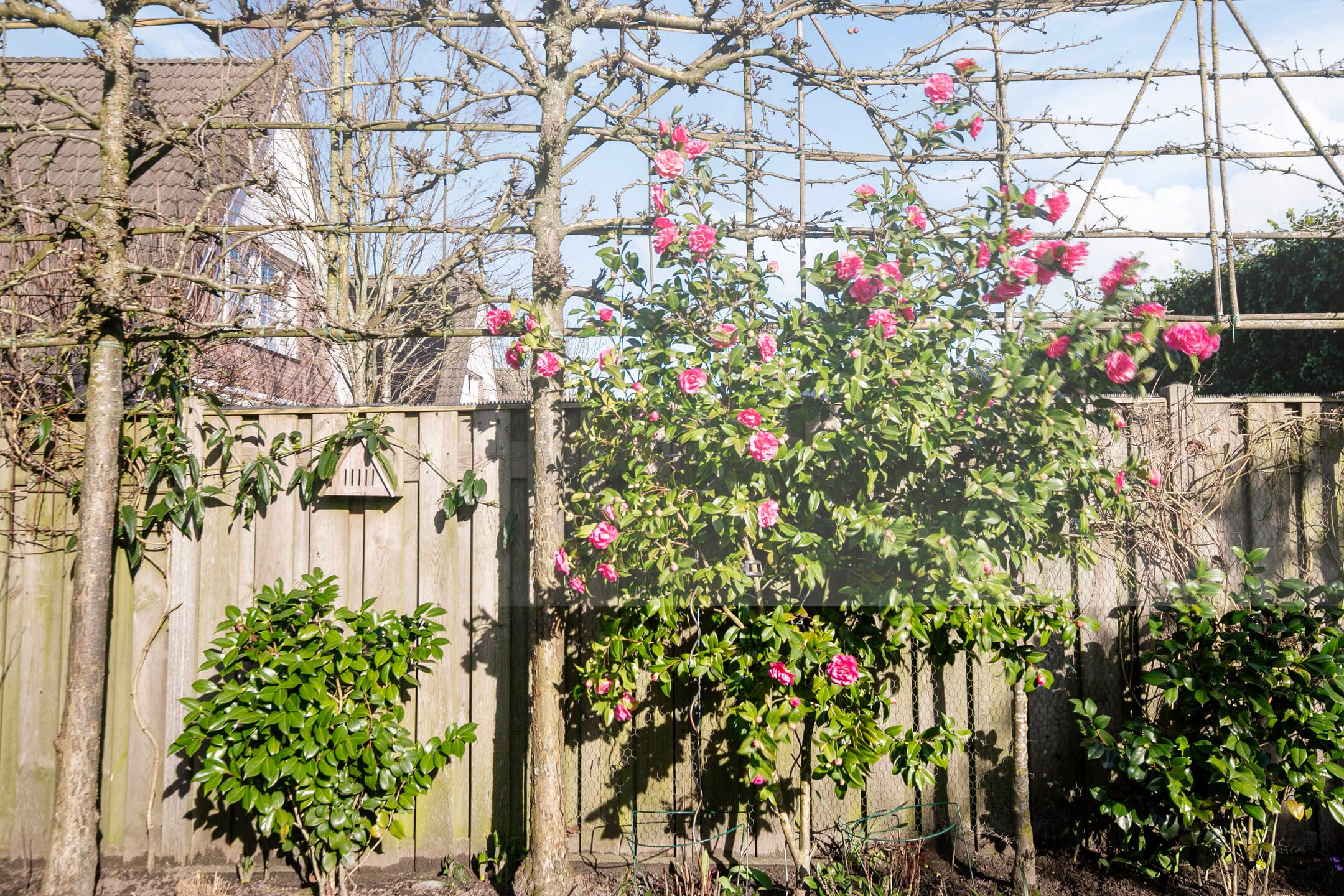 Foto 45 van Hoogvelden 9