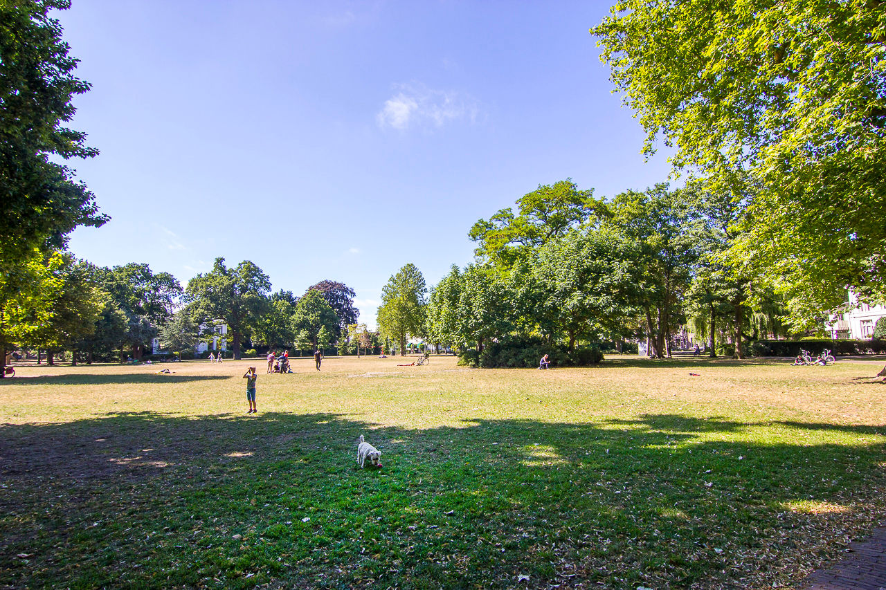 Photo 54 of Kleine Houtweg 39