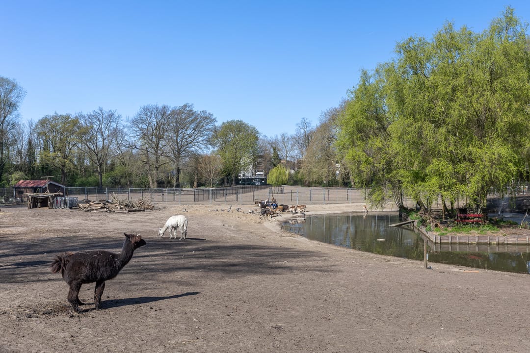 Foto 37 van Hubert Duyfhuysstraat 43-BS