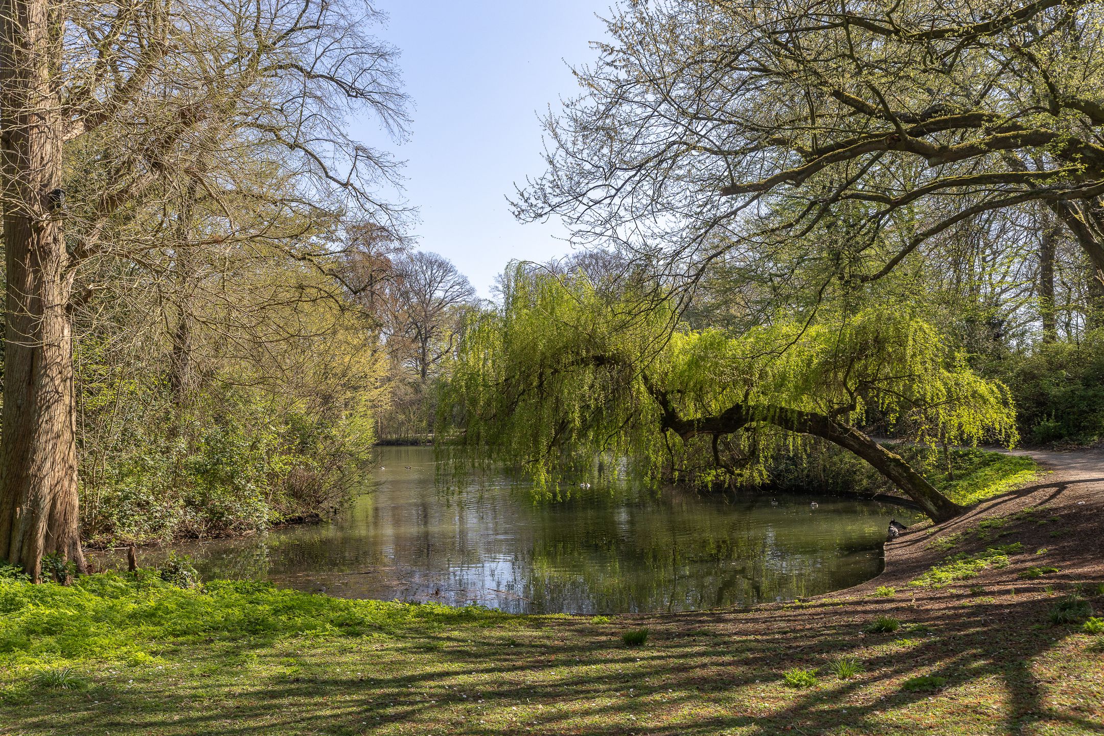 Foto 39 van Hubert Duyfhuysstraat 43-BS