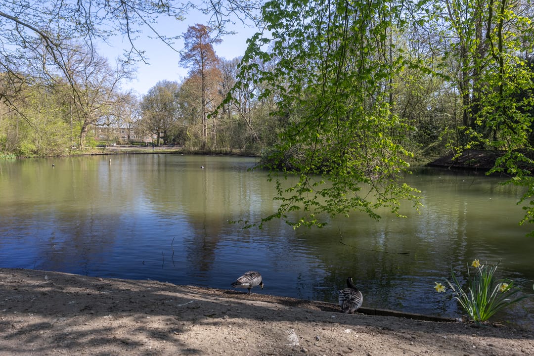 Foto 41 van Hubert Duyfhuysstraat 43-BS