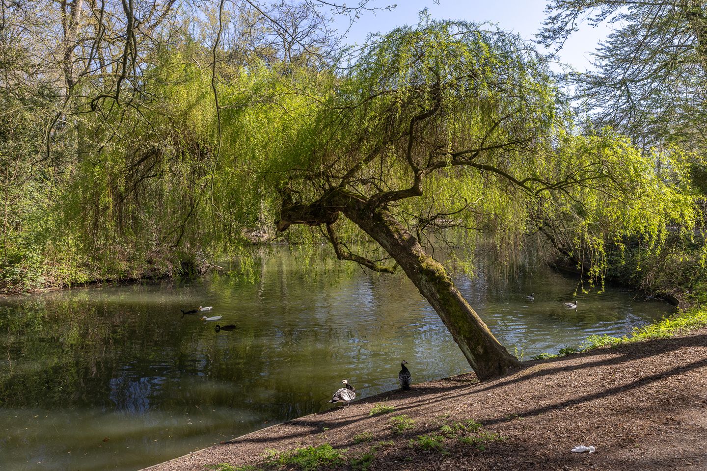 Foto 40 van Hubert Duyfhuysstraat 43-BS