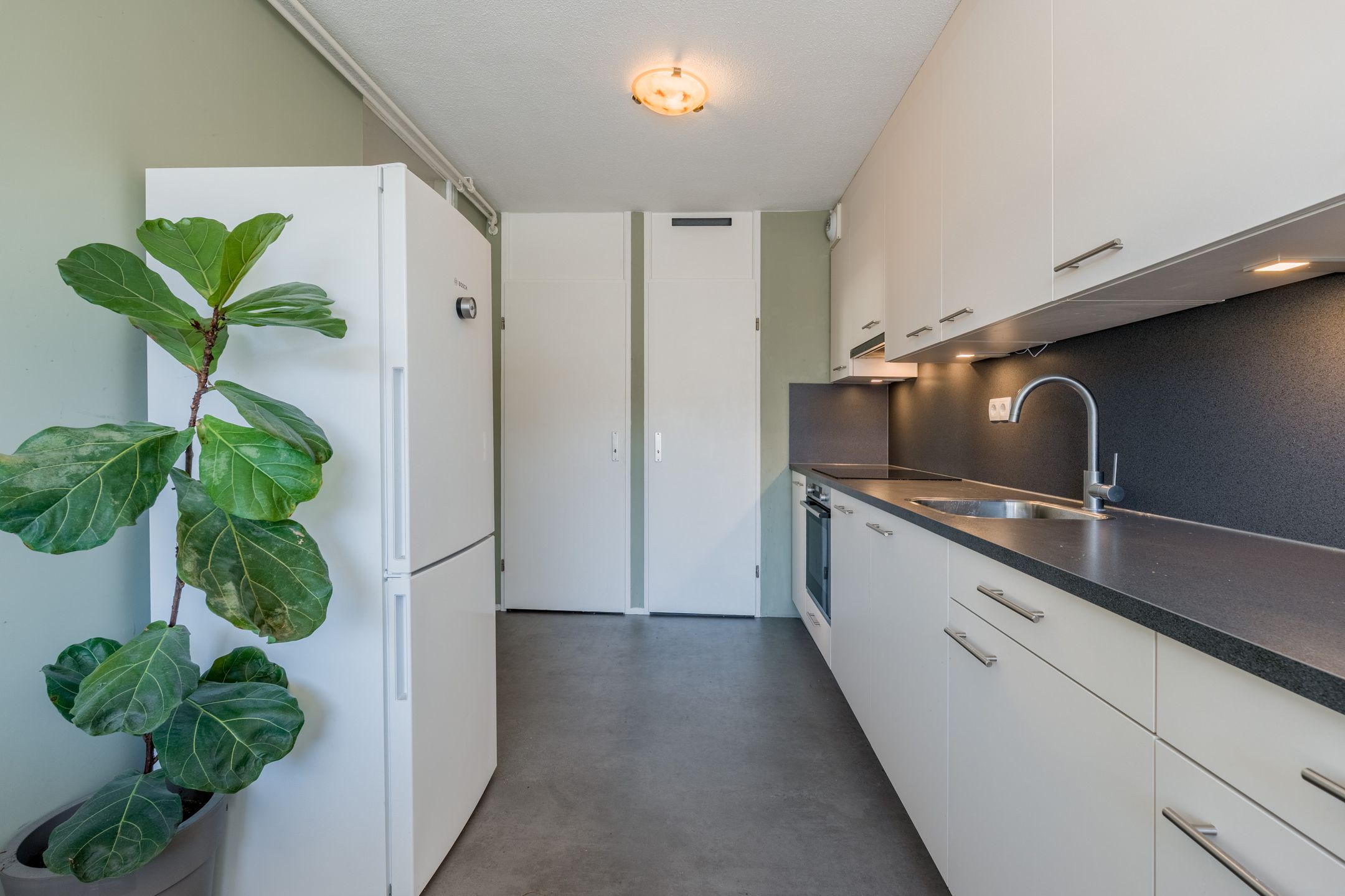 Photo 3 of Nova Zemblastraat 239