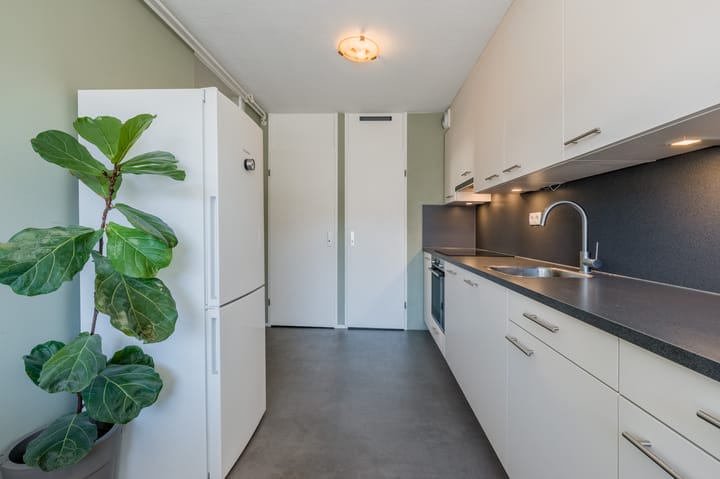 Photo 3 of Nova Zemblastraat 239