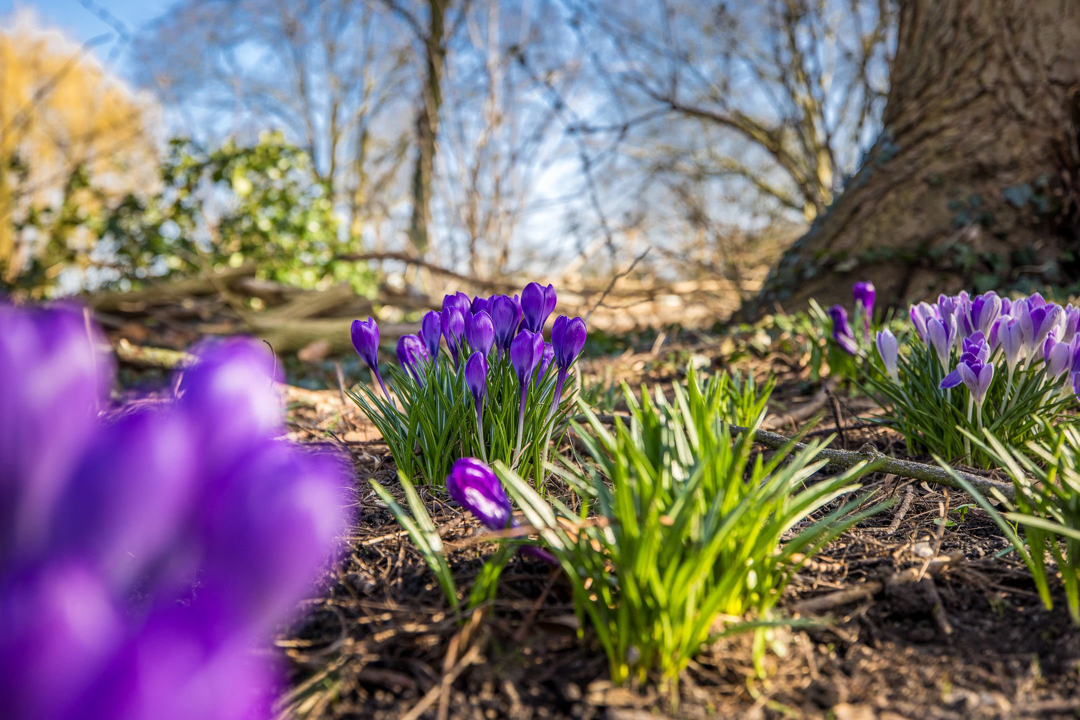 Foto 21 van Antonius Matthaeuslaan 45