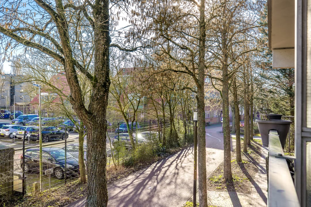 Photo 13 of Fivelingo 235