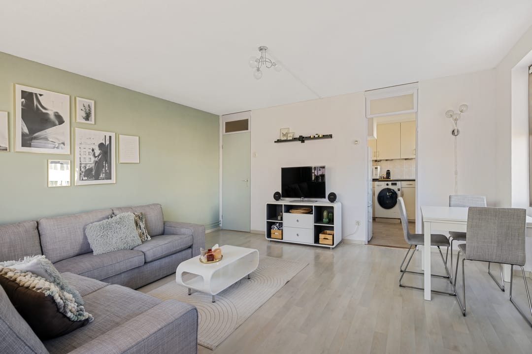 Photo 16 of Fivelingo 235