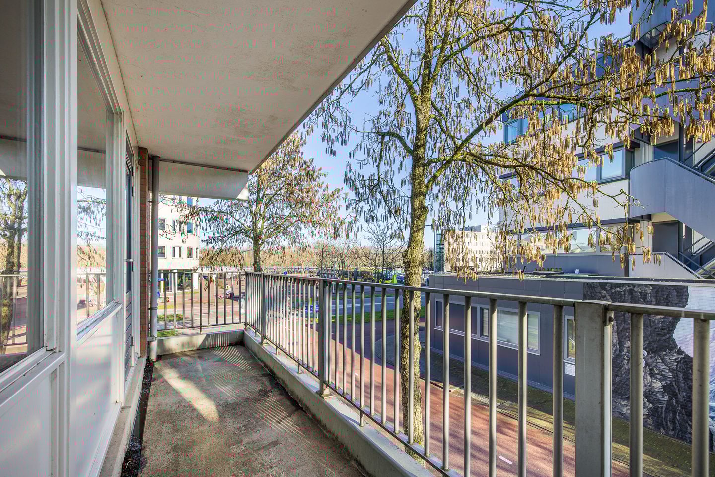 Photo 14 of Fivelingo 235