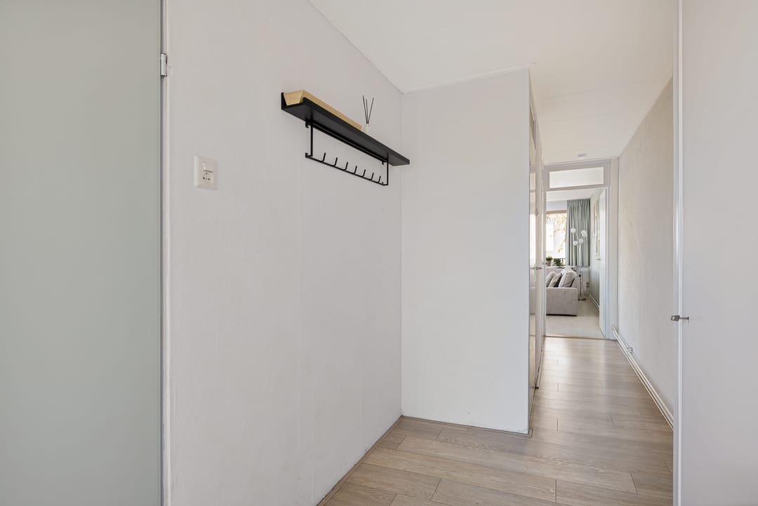 Photo 7 of Fivelingo 235