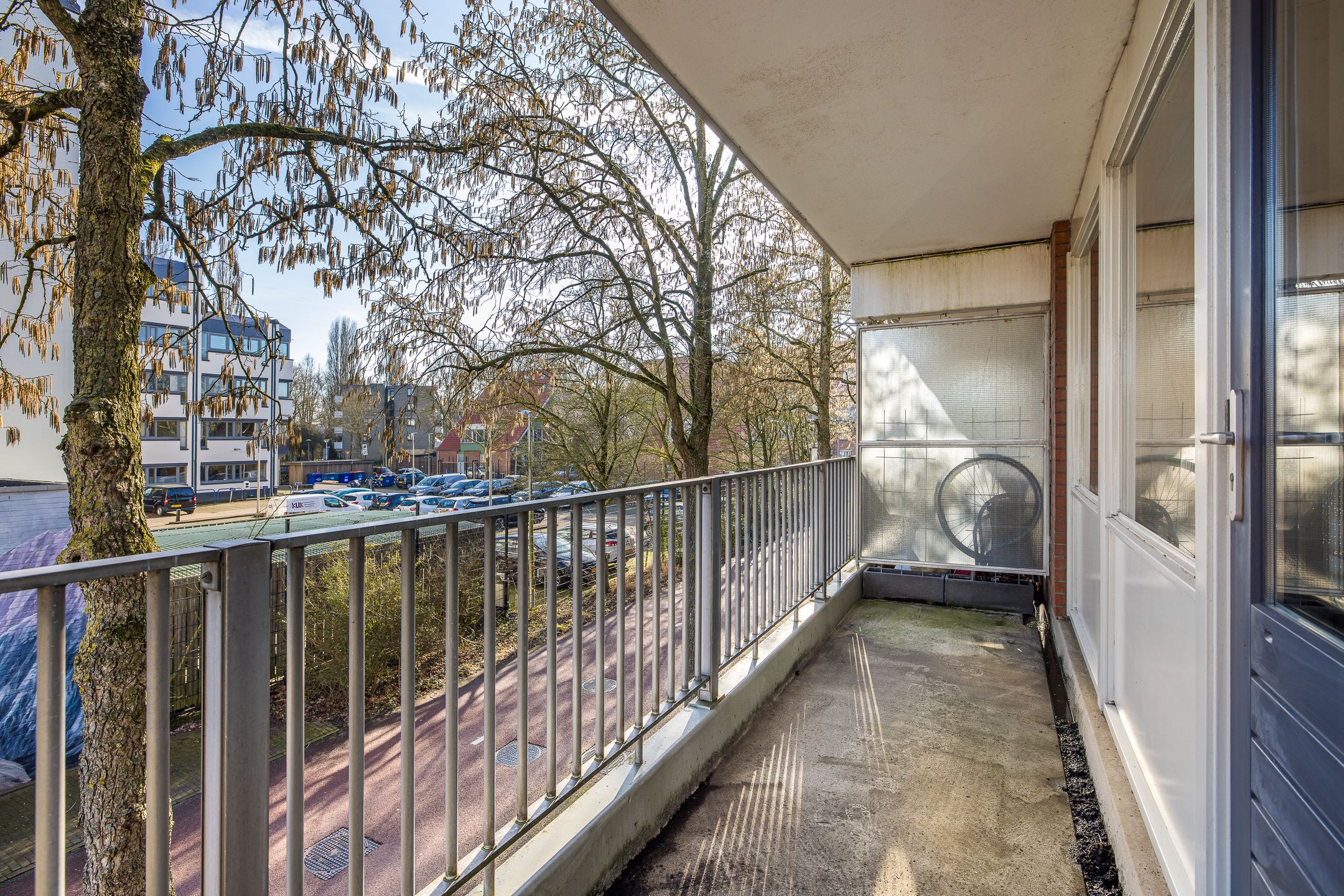 Photo 12 of Fivelingo 235