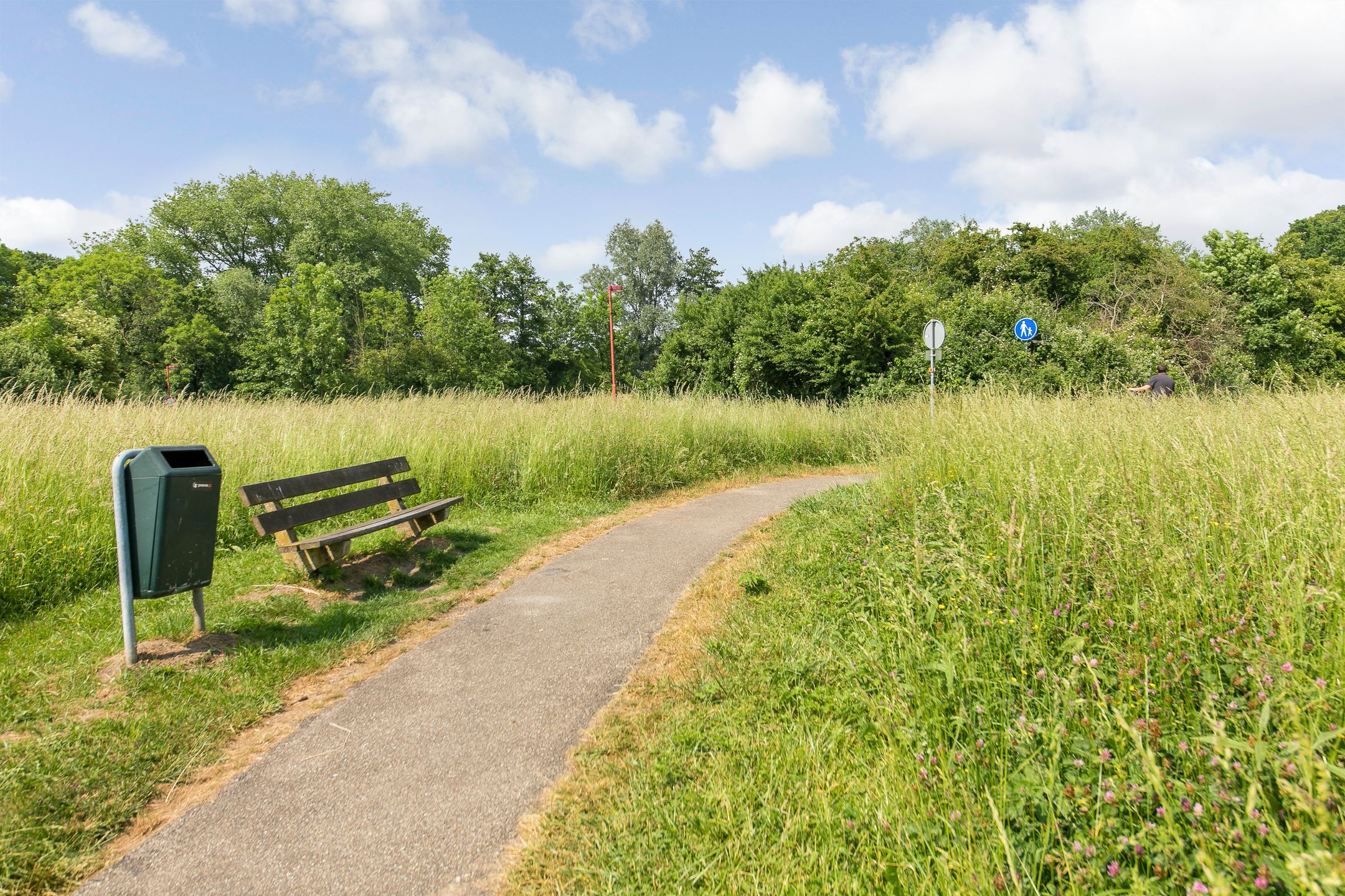 Photo 33 of Fivelingo 235