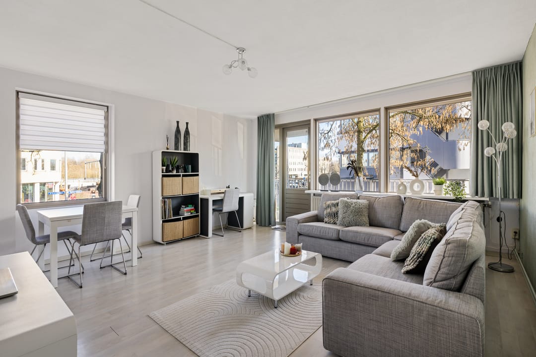 Photo 8 of Fivelingo 235