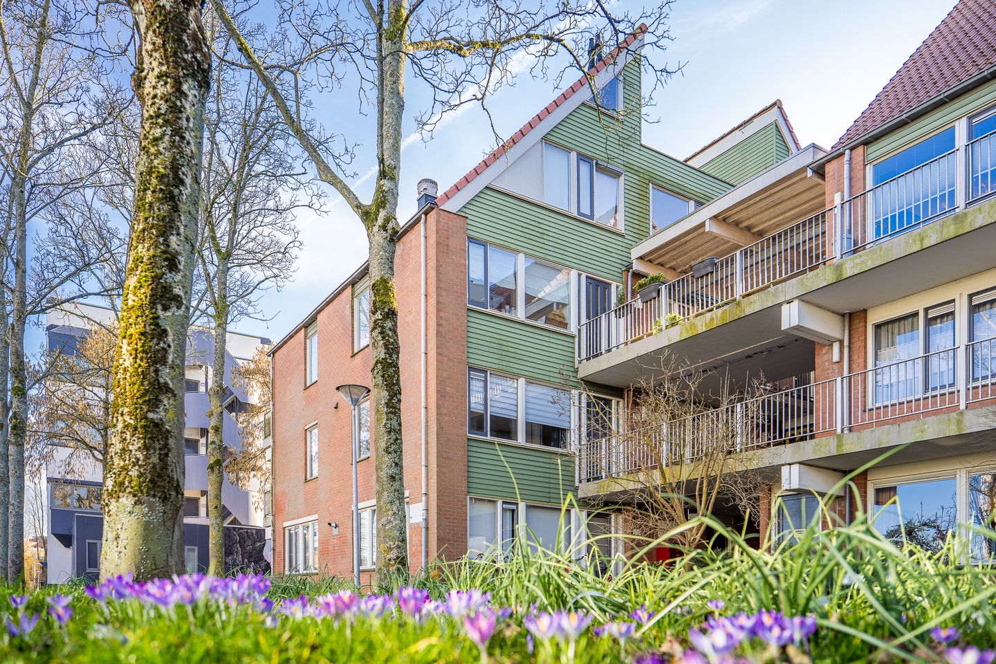 Photo 5 of Fivelingo 235