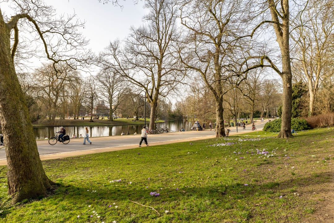 Foto 7 van Zoutstraat 20-1