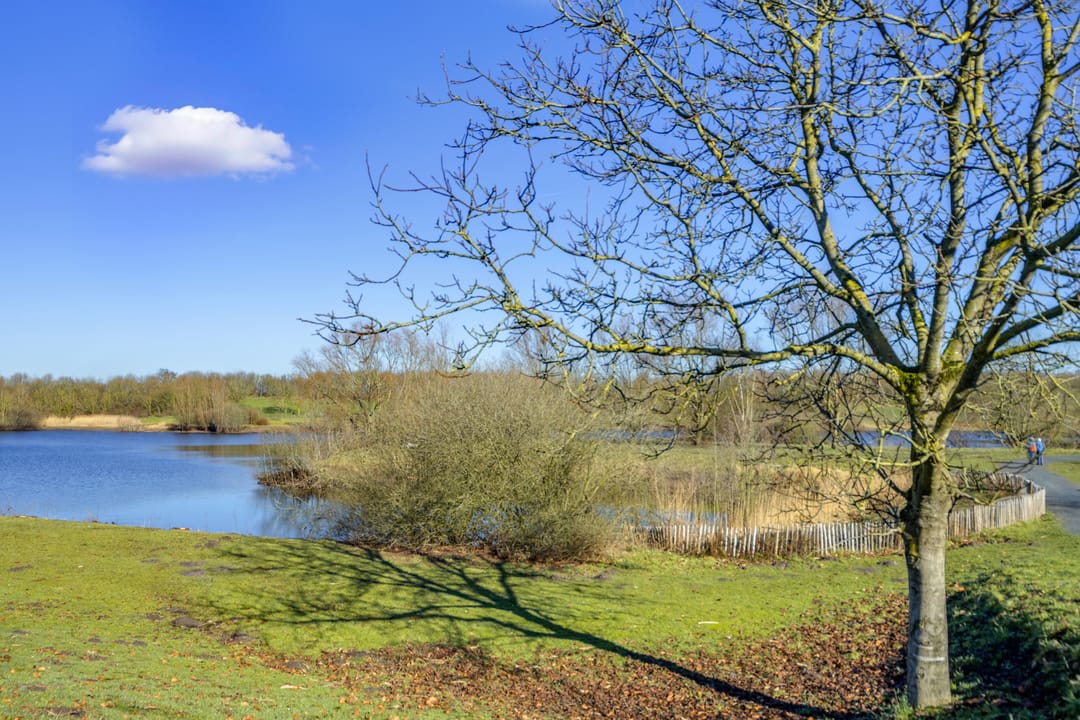 Foto 53 van Strijp 7