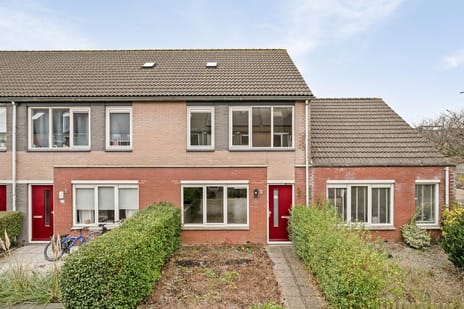 undefined main image