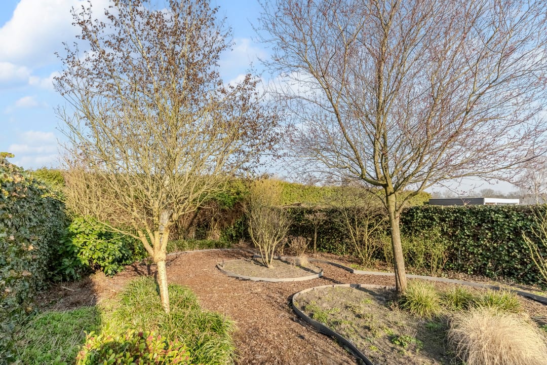 Photo 46 of Zijthorst 16