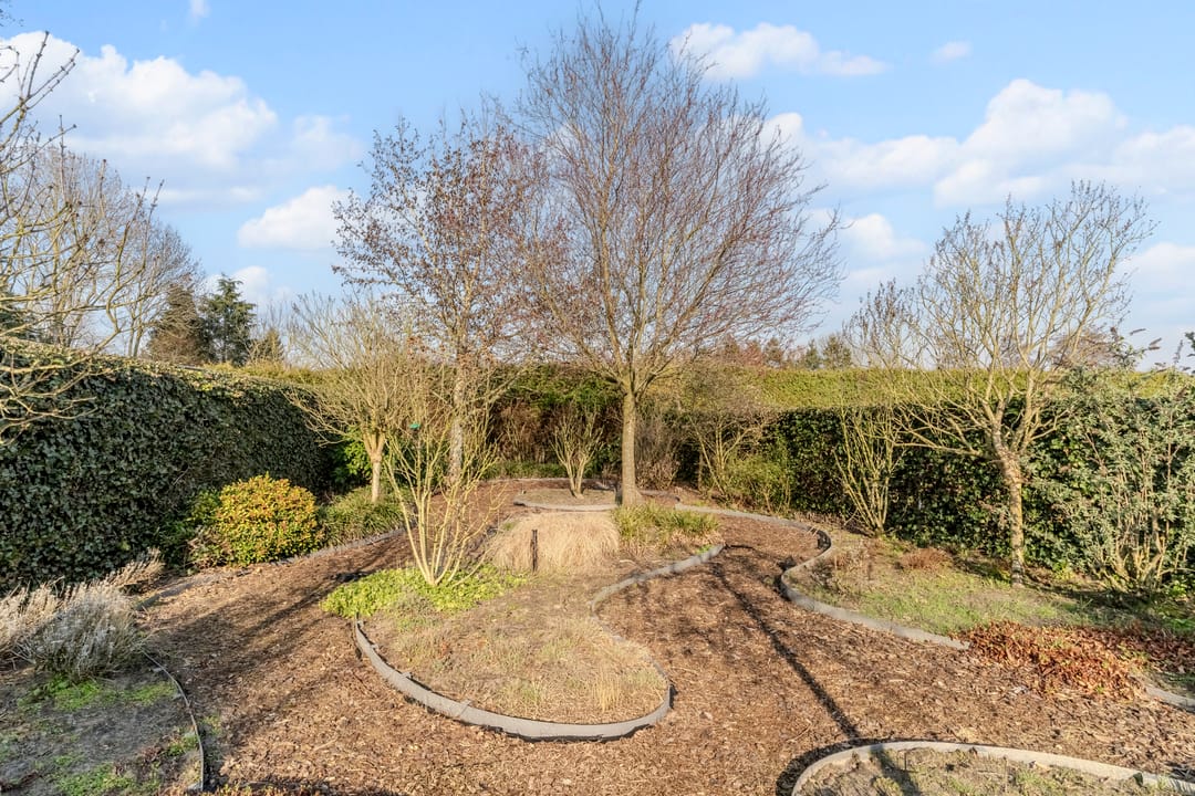 Photo 47 of Zijthorst 16