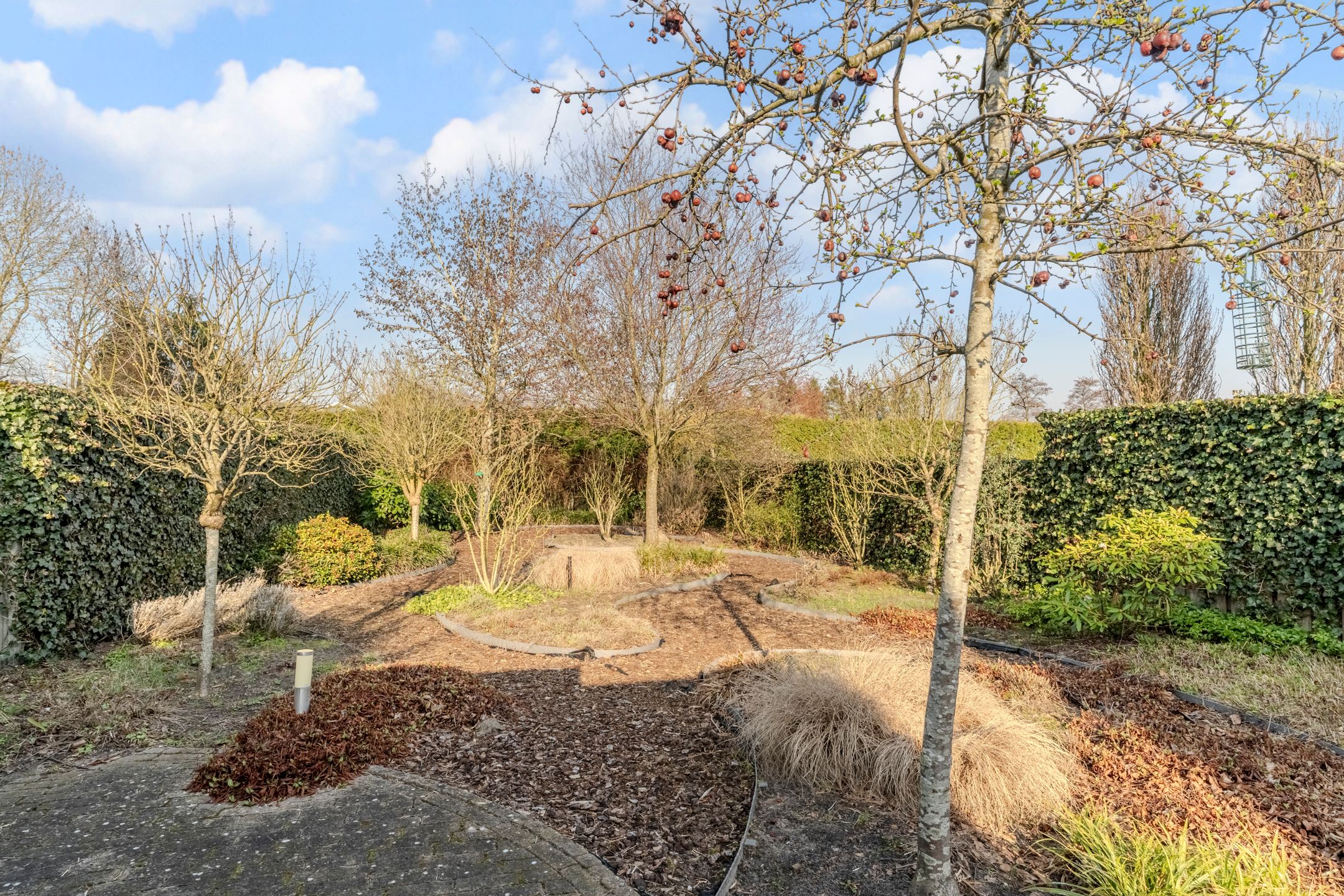 Photo 48 of Zijthorst 16