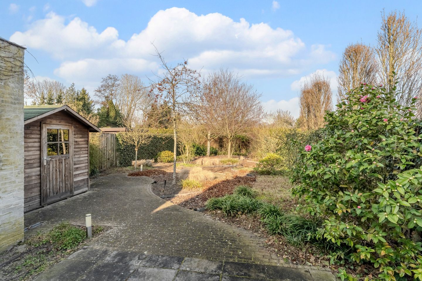 Photo 50 of Zijthorst 16