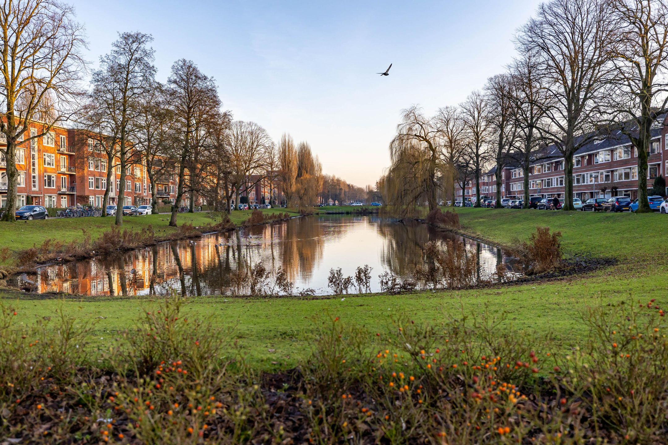 Foto 27 van Wielewaalplein 252