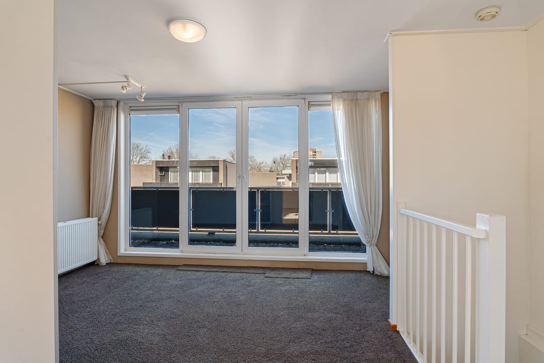 Foto 43 van Pruisisch blauw 35