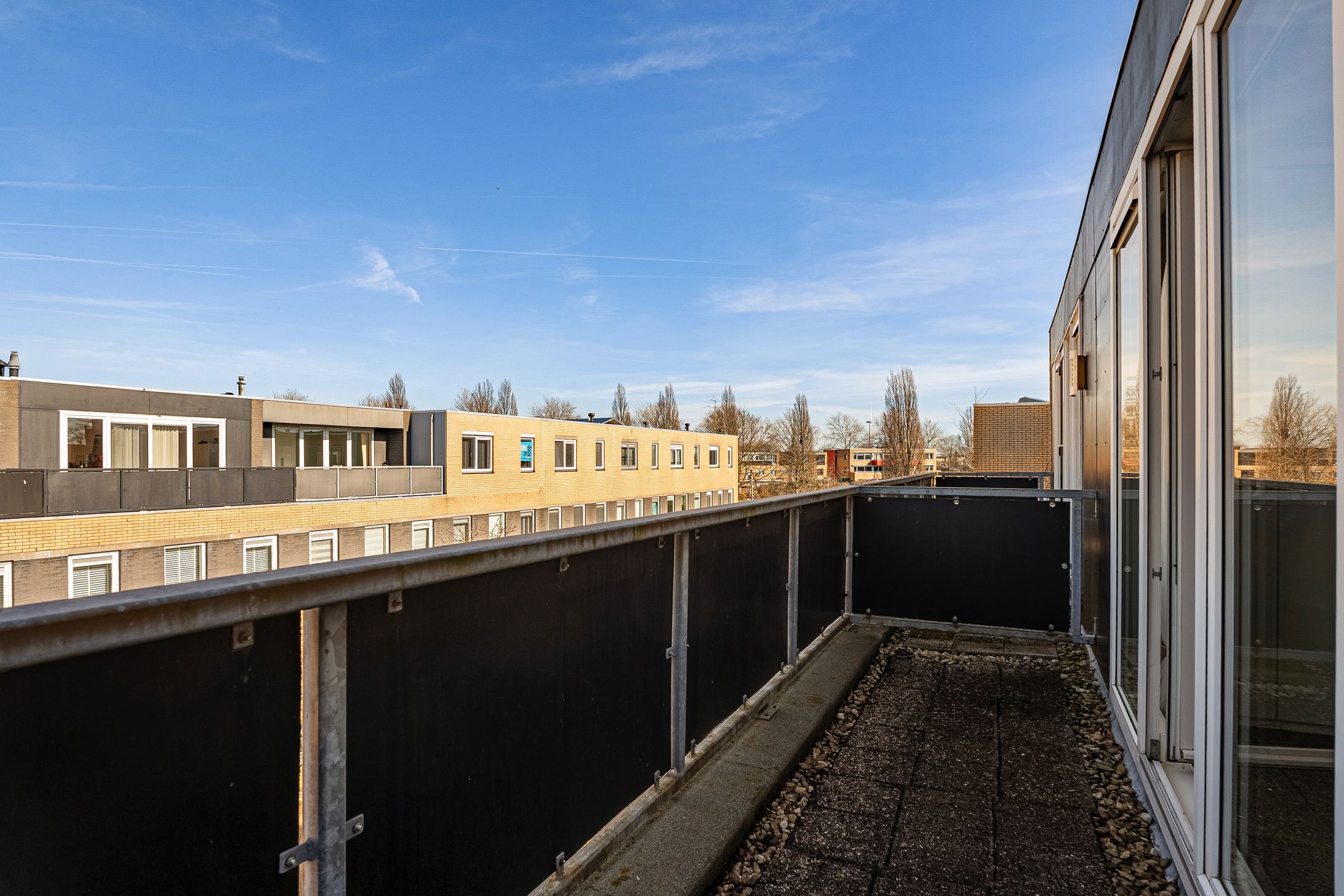 Foto 51 van Pruisisch blauw 35