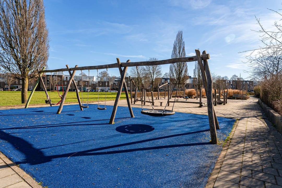 Foto 56 van Pruisisch blauw 35