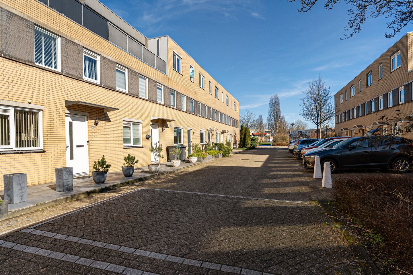 Foto 55 van Pruisisch blauw 35