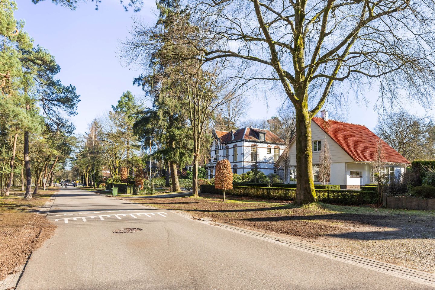 Foto 59 van Soerenseweg 85