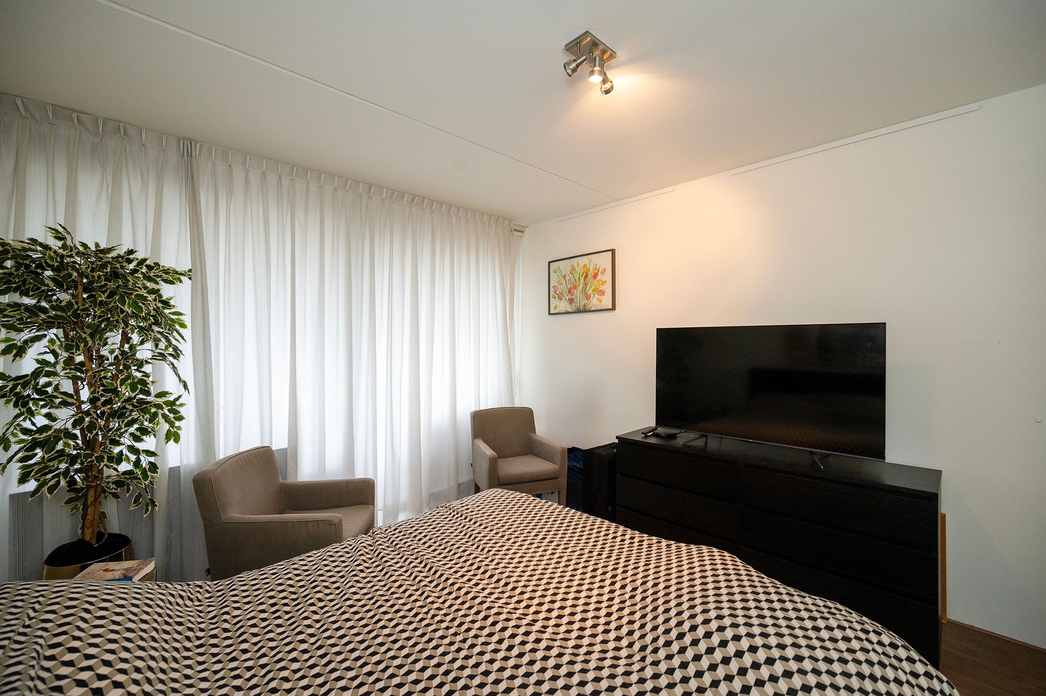 Foto 30 van Grootzeil 298