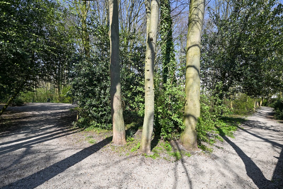 Photo 38 of Prinses Mariestraat 17
