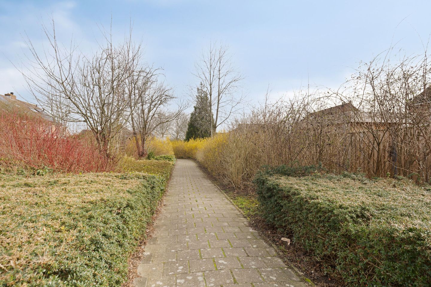 Photo 34 of Schreyboom 26