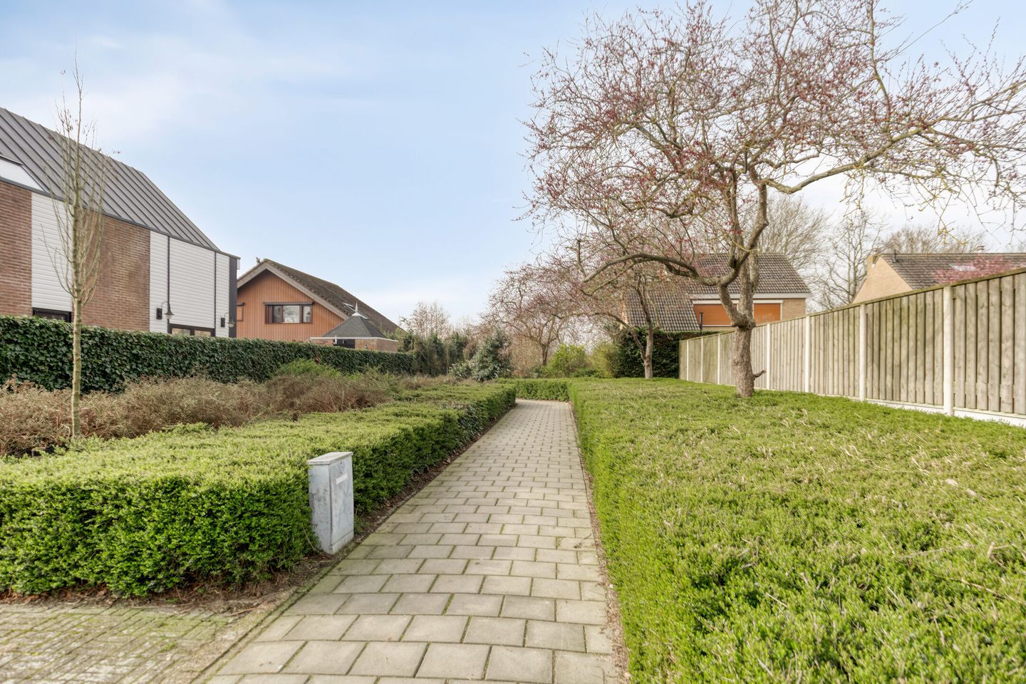 Photo 35 of Schreyboom 26